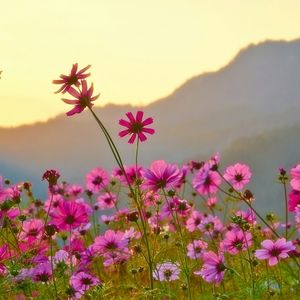 Introductory post!